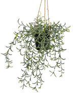 Kunst hangplant Senecio met pot 35 cm