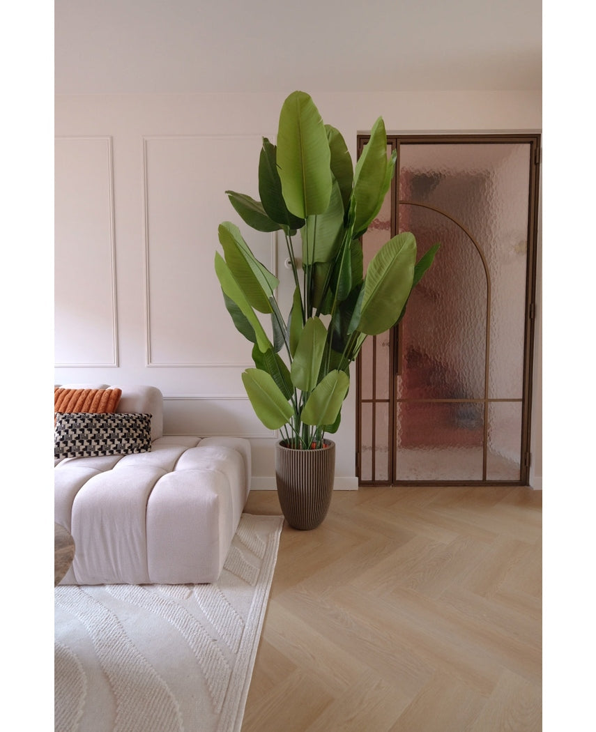 Kunstplant Strelitzia Real Touch Deluxe 210 cm