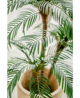 Kunstpalm Cycas Classic 135 cm